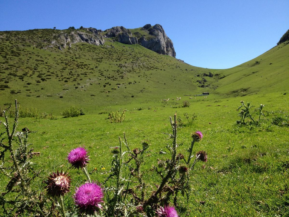 Residence Routes Du Monde Atc Bagneres De Bigorre Екстер'єр фото